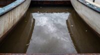 common causes of bilge water