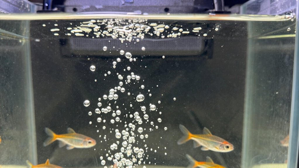 enhance bait vitality through aeration