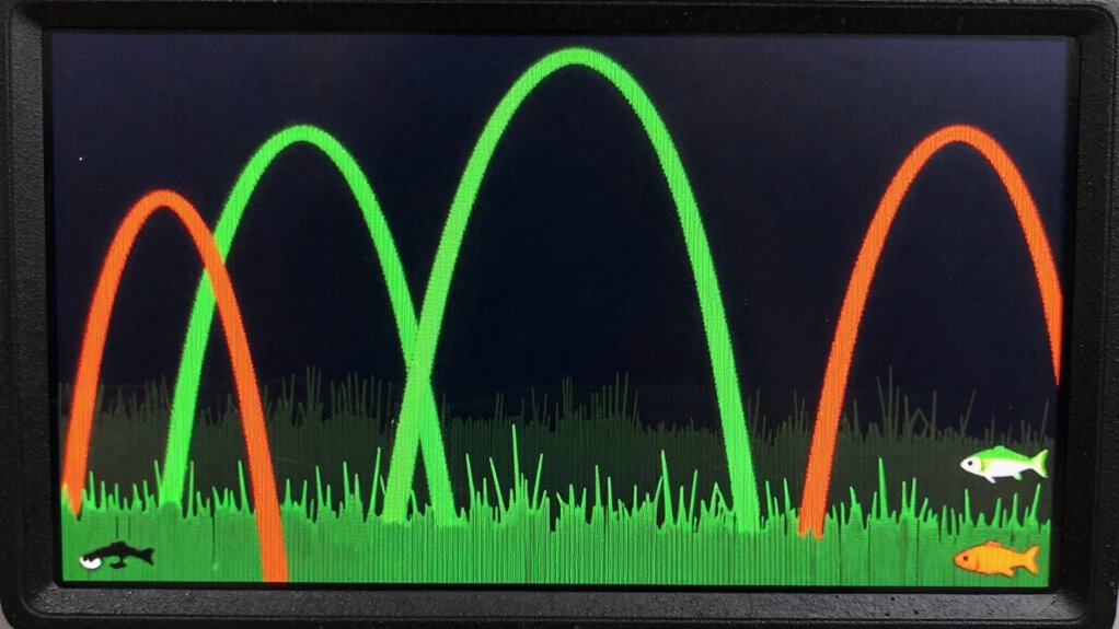 interpreting fish arched symbols