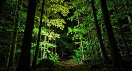 night vision myths debunked