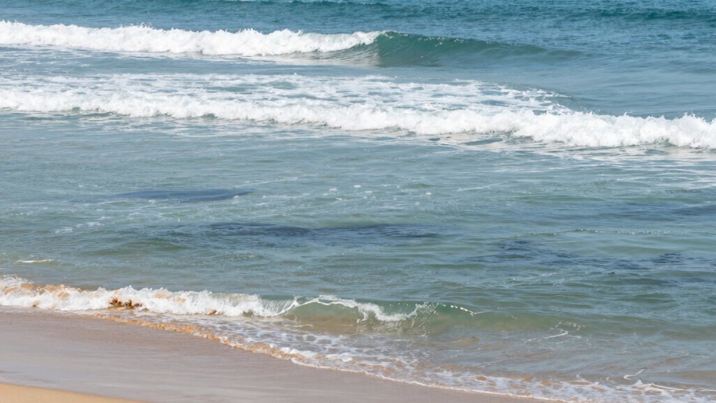 observe wave color patterns