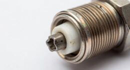 spark plug color insights