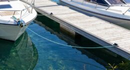 spring line docking strategies