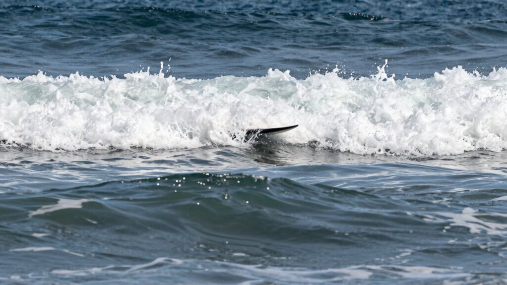 swell direction influences wave formation