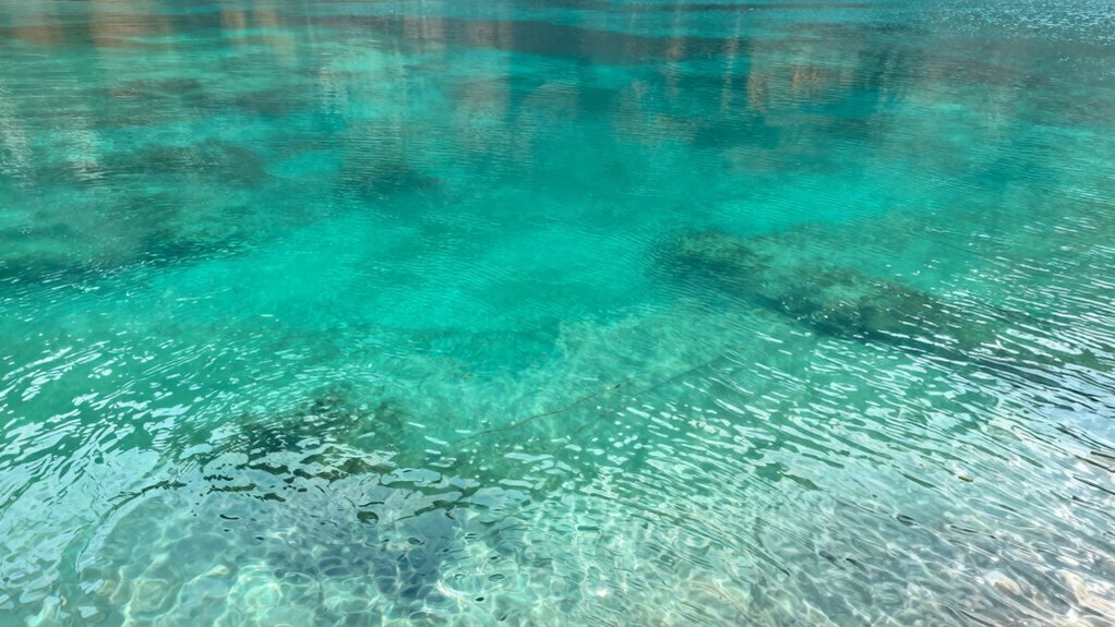 water color indicates fish activity