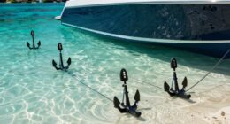 top shallow water anchor systems