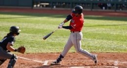 Bryce Harper