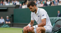 Taylor Fritz loses at Wimbledon after knee tendinitis flares up